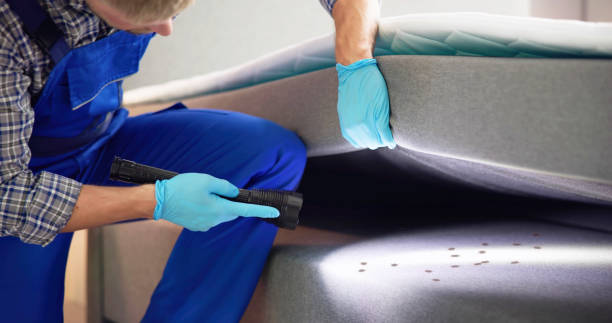 Best Residential Pest Control  in Suwanee, GA
