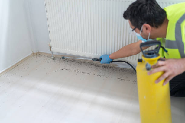 Best Pest Prevention Services  in Suwanee, GA