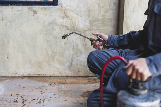 Best Ant Control Services  in Suwanee, GA